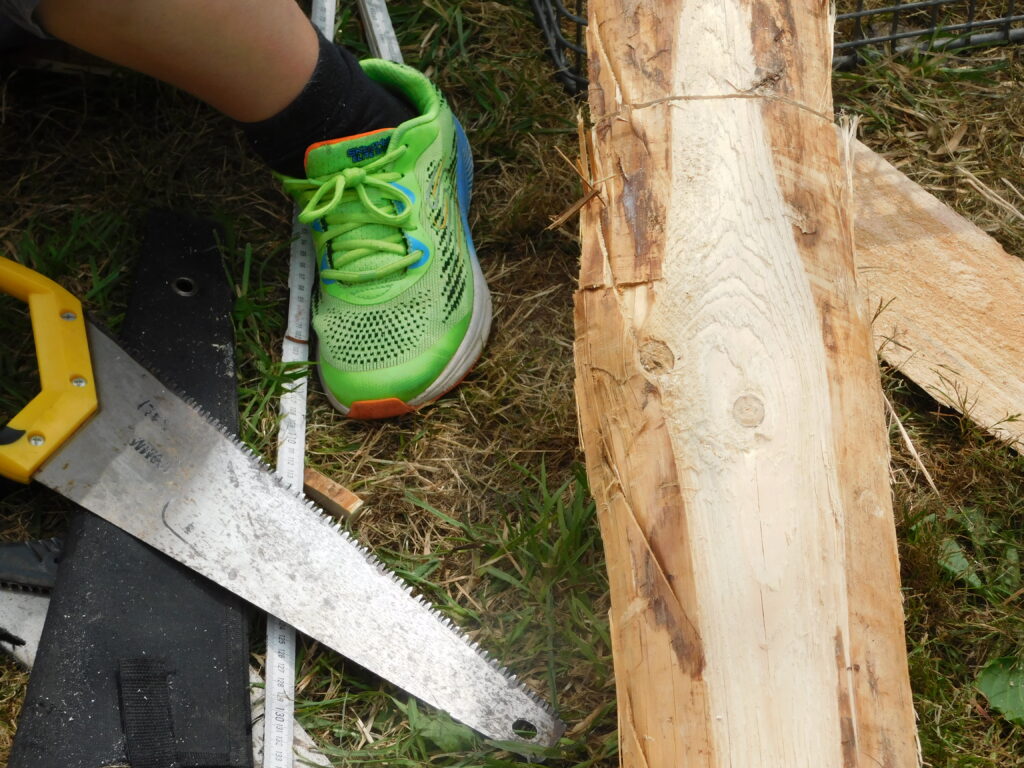 IMG_8896
